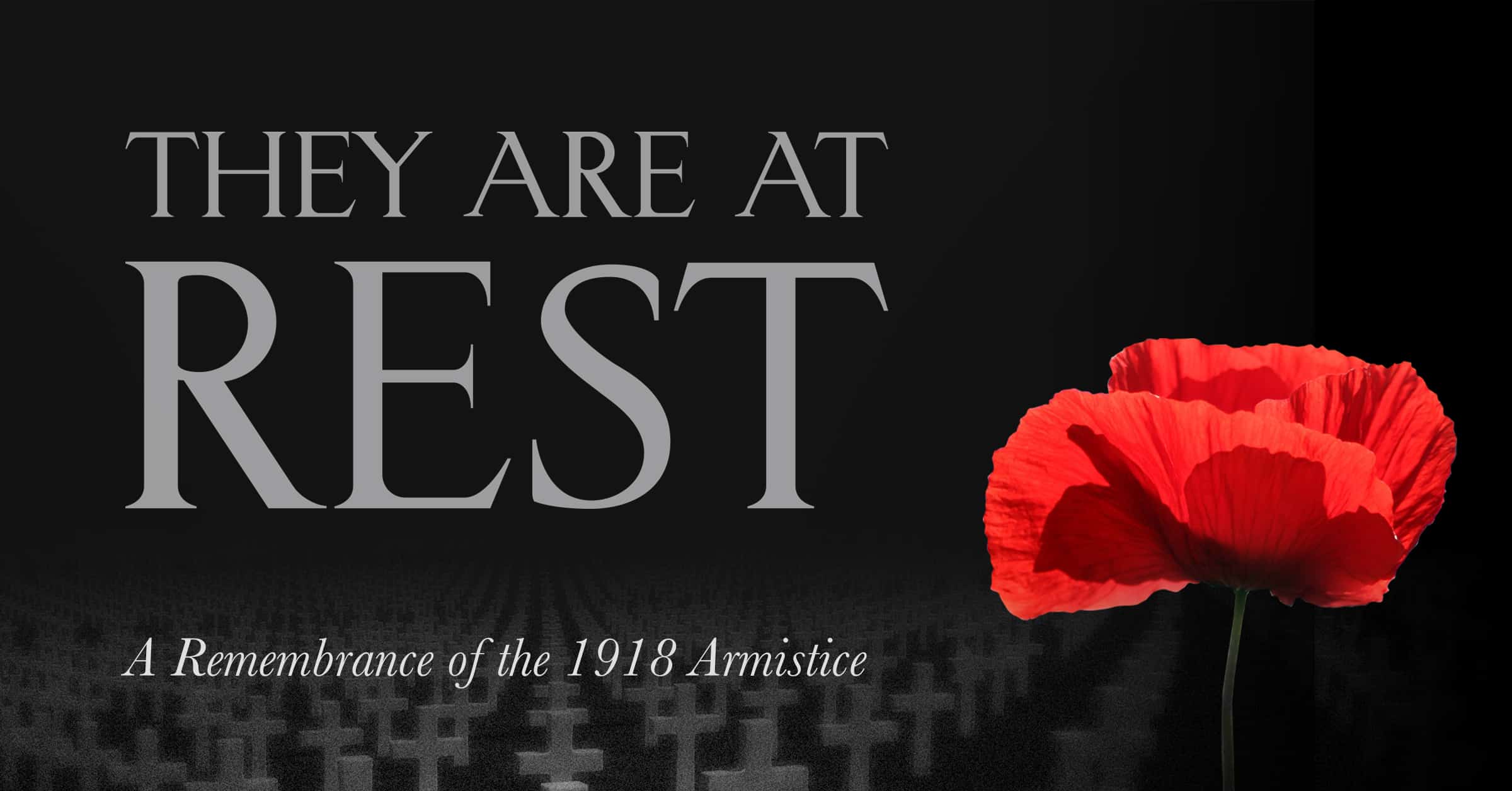 The History of the Remembrance Poppy